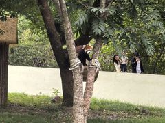 -合肥野生动物园
