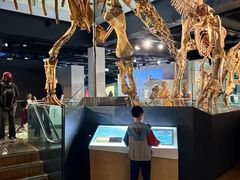 -墨尔本博物馆(Melbourne Museum)