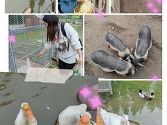 -前小桔亲子创意农场·草莓采摘·露营烧烤