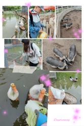 -前小桔亲子创意农场·草莓采摘·露营烧烤