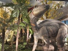 -湖南省地质博物馆