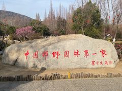 -习家池