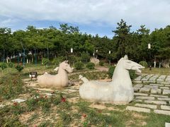 -鹦鹉寺公园