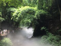-芦沟竹海