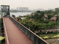 -立新湖公园