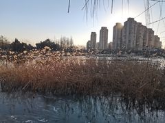 -前关湿地公园