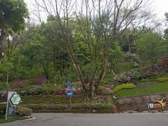 -重庆平顶山公园