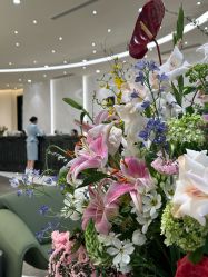 -韩辰医疗整形美容医院