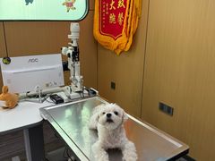 -pd派德宠物中心医院24H急重症·眼科中心·血液透析中心(嵩山北路店)