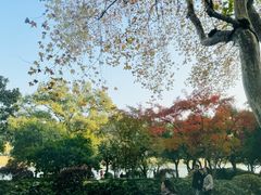 -灵隐飞来峰景区