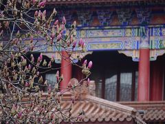 -皇罗禅寺