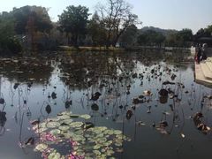-惠州西湖丰渚园