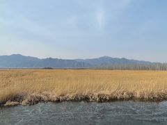 -野鸭湖国家湿地公园