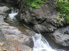 -云岫谷游猎自然风景区