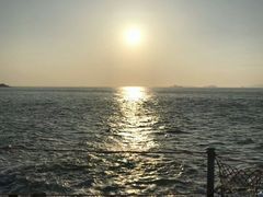 -枸杞岛