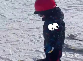 哇塞，小朋友们滑雪太可爱啦！