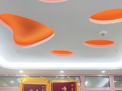 -全心全意连锁动物医院·微创中心·内科急重症·心脏专科(丰管路店)