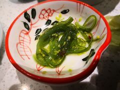 中华海草-YAMAKAWA(龙湖胥江天街店)