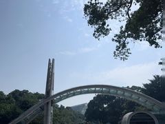 -南山植物园