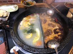 -渝大龙重庆火锅(温泉月亮湾店)