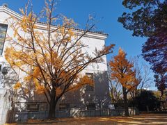 -天王寺公园