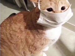 -广州宝岛眼镜武汉和光眼镜市场西区店