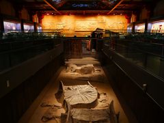 -北京大葆台遗址博物馆