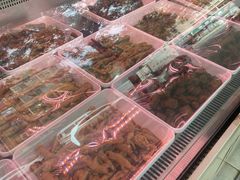 -九多肉多(五味什字店)