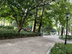 -中山公园