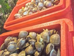 -唐山香格里拉大酒店·香啡阁(长虹西道店)