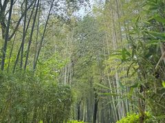 -天目湖涵田度假村