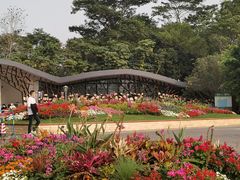 -深圳湾公园-停车场