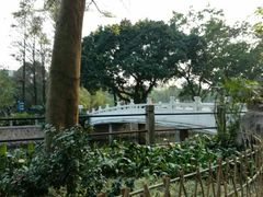 -晓港公园