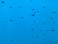 -亚龙湾海底世界