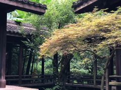 -黄公望隐居地