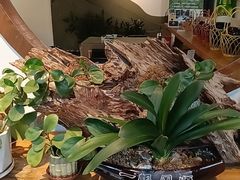 -茶油香闽南菜·花园餐厅(前埔店)