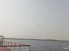 -天津金海湖