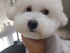 -久久宠物(河东万达店)