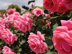 -同德昆明广场购物中心