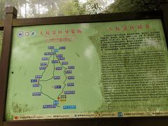-莫干山大坑景区-停车场
