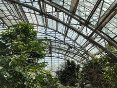 -南山植物园