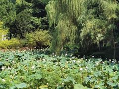 -宜春明月山维景国际温泉度假酒店