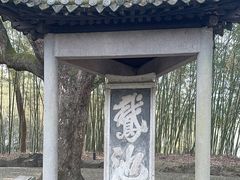 -兰亭风景区