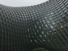-凤凰中心