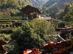 -藏龙百瀑风景区