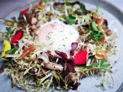 -Oyster Talks 四度蚝法餐厅