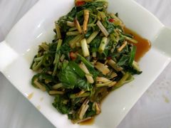 -明升萝卜汤