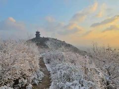 -杭州半山国家森林公园