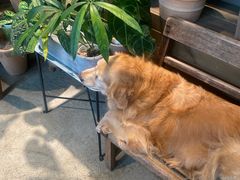 -自由生长植物工作室(深港花卉中心店)