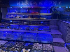 -青蓬蒸汽海鲜·深圳老字号·团建聚会(壹方城店)